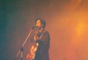 卓伟最新爆料家驹还活着